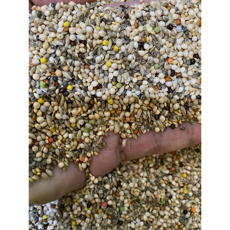 Fardo c/ 10 - Coleiro Alta Performance