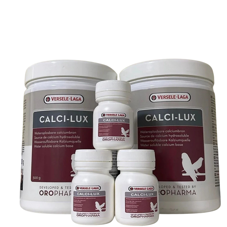 Calci-Lux – Suplemento de Cálcio para Aves | Fortalecimento Ósseo e Pós-Muda | IMPORTADO
