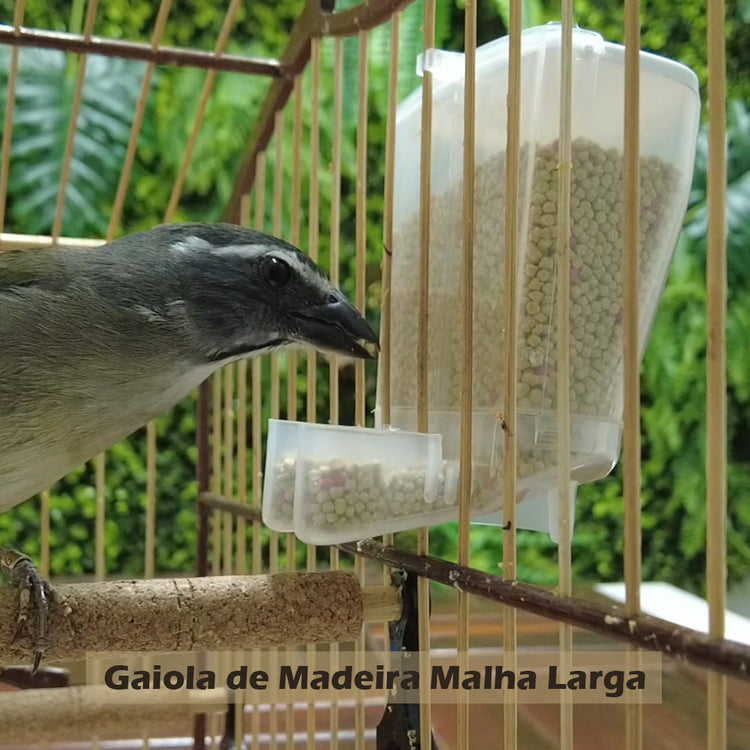 DISPENSER DE SEMENTE 2 BICOS MALHA LARGA/JANELA DJ