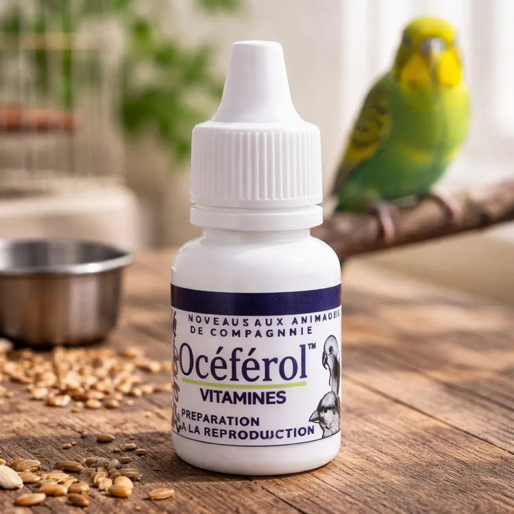 OCÉFÉROL 10ML