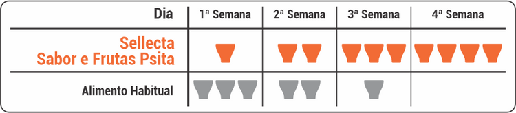 KIT - 2 SELLECTA SABOR E FRUTAS PSITA - 500G CADA