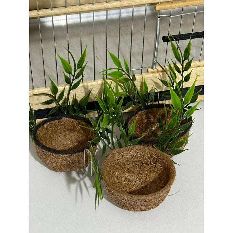 NINHO MATO - Coleiro e Curió