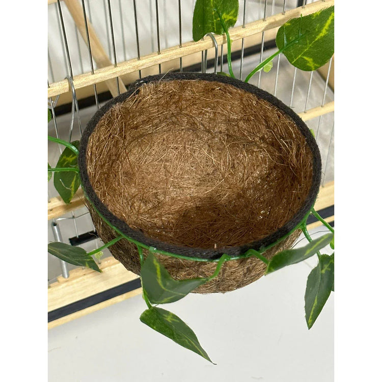 NINHO MATO TRINCA-FERRO - Caixa com 6 unidades