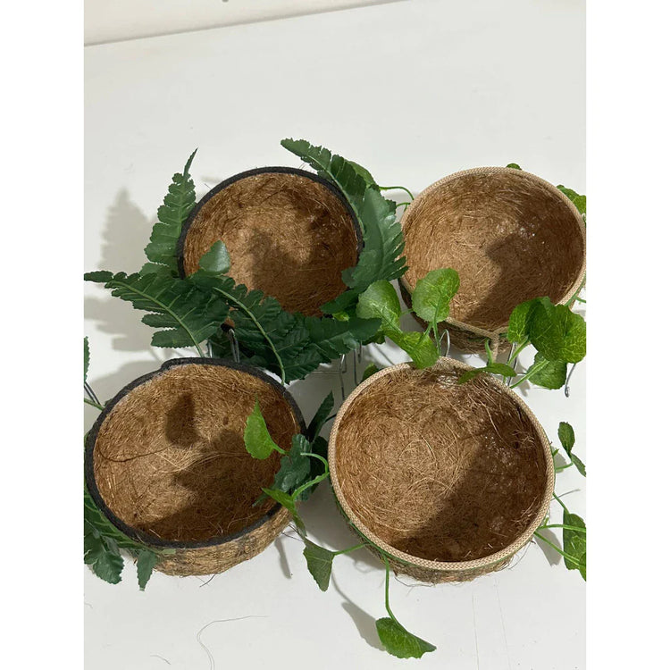 NINHO MATO TRINCA-FERRO - Caixa com 6 unidades