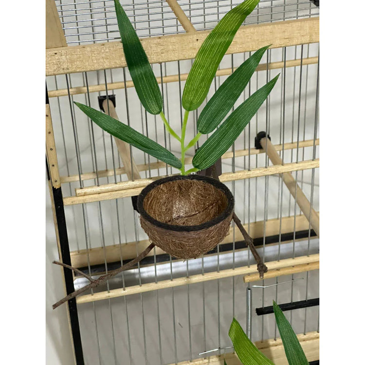 NINHO GALHO - Coleiro