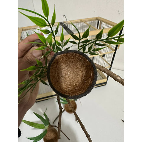 NINHO GALHO - Coleiro