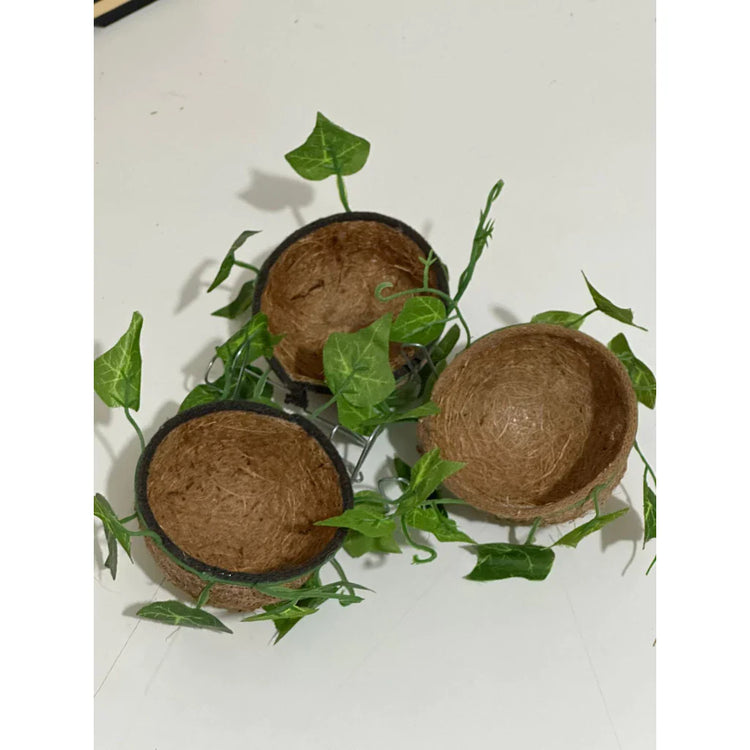 NINHO MATO AZULÃO/BICUDO/CANARIO