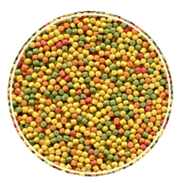 KIT - ALCON CLUB CURIÓ - 6 unidades de 325g cada