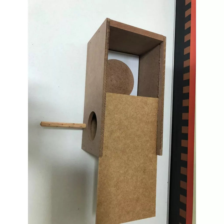 Ninho para Manon, periquito, agapornes e calopsita