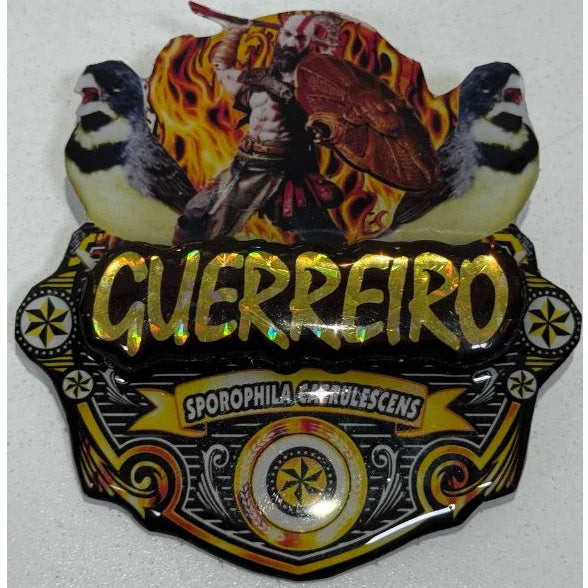 PLACA DE COLEIRO PAULISTA PERSONALIZADA EM 3D COM O NOME DO PÁSSARO