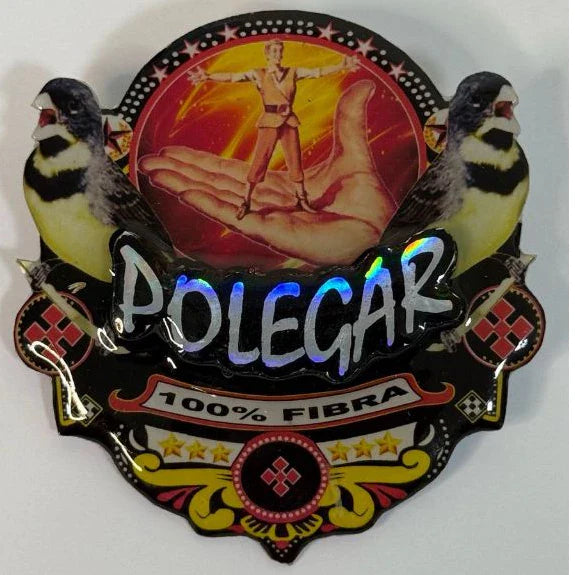 PLACA DE COLEIRO PAULISTA PERSONALIZADA EM 3D COM O NOME DO PÁSSARO