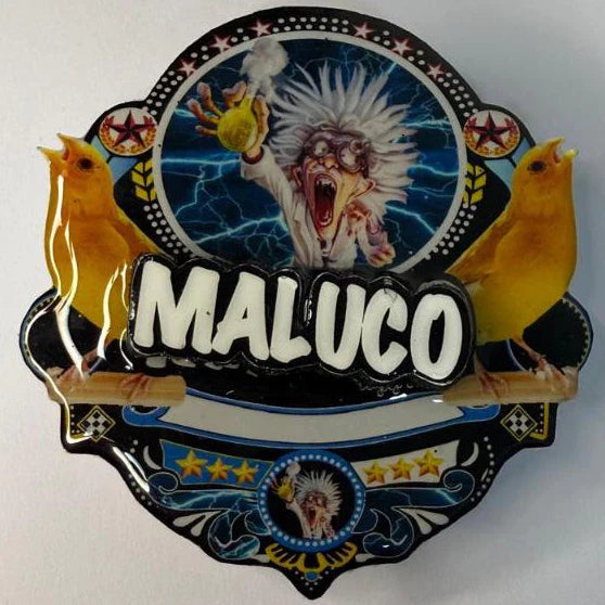 PLACA EM 3D CANÁRIO DA TERRA