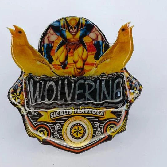 PLACA EM 3D CANÁRIO DA TERRA