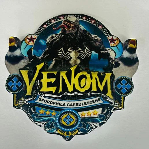 PLACA DE COLEIRO PERSONALIZADA EM 3D COM NOME DO PÁSSARO