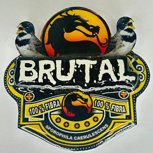 PLACA DE COLEIRO PERSONALIZADA EM 3D COM NOME DO PÁSSARO