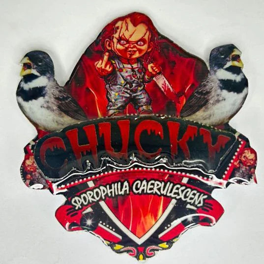 PLACA DE COLEIRO PERSONALIZADA EM 3D COM NOME DO PÁSSARO