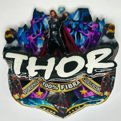 PLACA DE COLEIRO PERSONALIZADA EM 3D COM NOME DO PÁSSARO