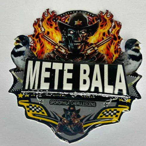 PLACA DE COLEIRO PERSONALIZADA EM 3D COM NOME DO PÁSSARO