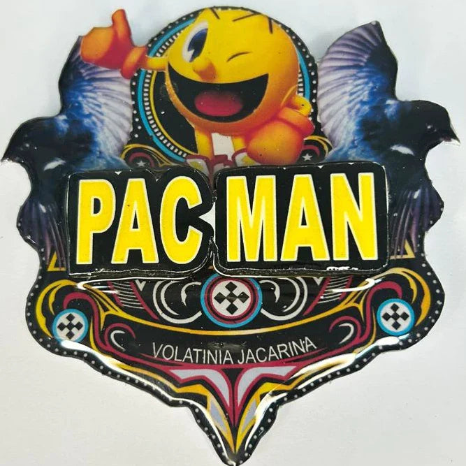 PLACA DE TIZIU PERSONALIZADA EM 3D COM NOME DO PÁSSARO