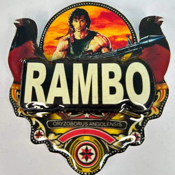 PLACA DE CURIÓ PERSONALIZADA EM 3D COM NOME DO PÁSSARO