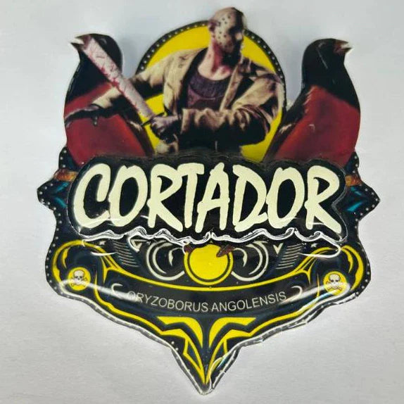 PLACA DE CURIÓ PERSONALIZADA EM 3D COM NOME DO PÁSSARO