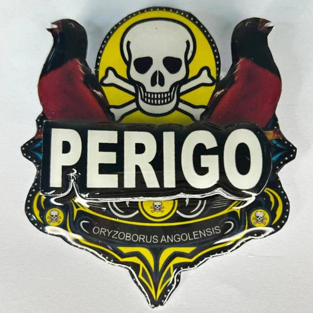 PLACA DE CURIÓ PERSONALIZADA EM 3D COM NOME DO PÁSSARO