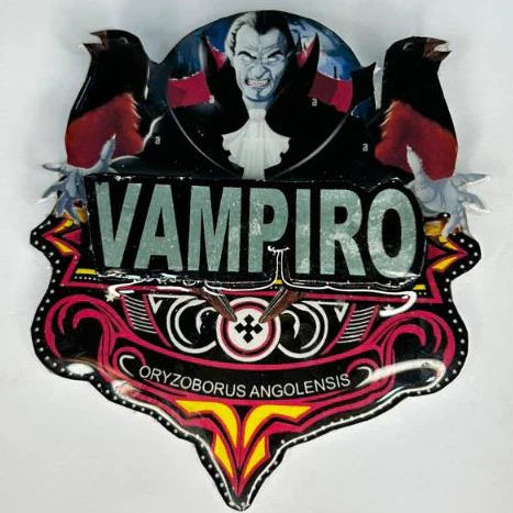 PLACA DE CURIÓ PERSONALIZADA EM 3D COM NOME DO PÁSSARO