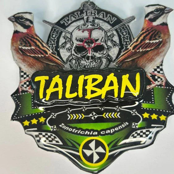 PLACA DE TICO TICO PERSONALIZADA EM 3D COM O NOME DO PÁSSARO