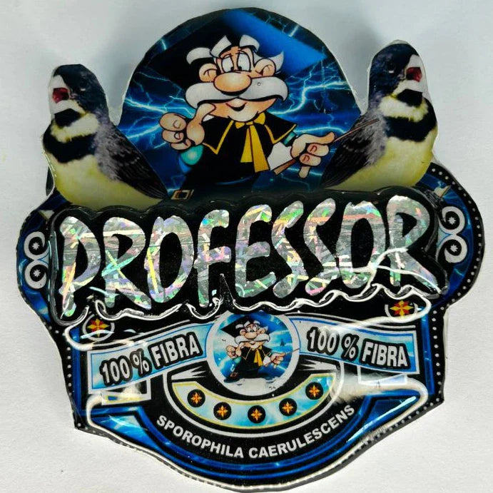 PLACA DE COLEIRO PAULISTA PERSONALIZADA EM 3D COM O NOME DO PÁSSARO