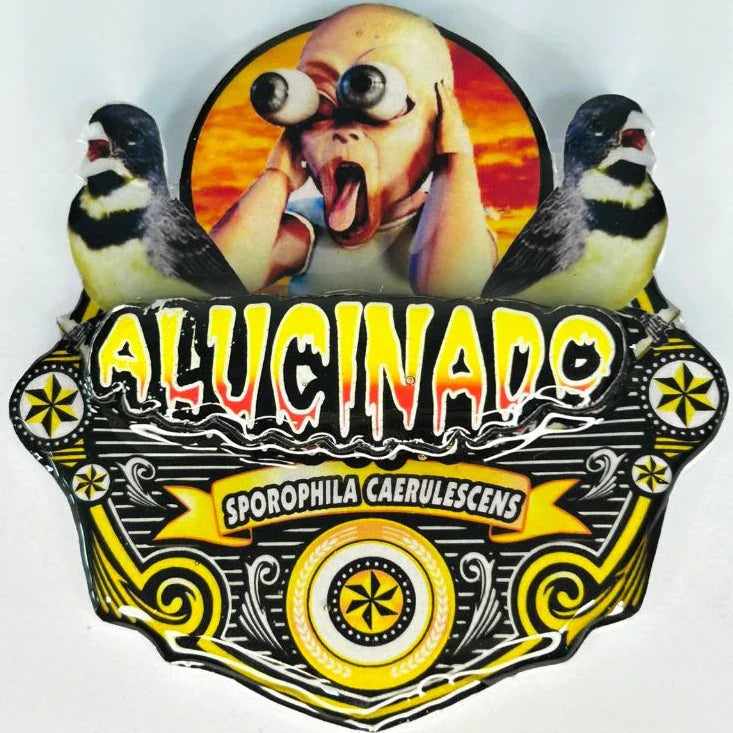 PLACA DE COLEIRO PAULISTA PERSONALIZADA EM 3D COM O NOME DO PÁSSARO