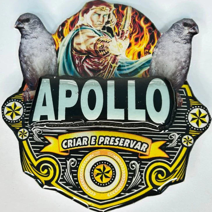 PLACA EM 3D DE PATATIVA PERSONALIZADA COM NOME DO PÁSSARO