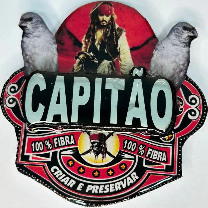 PLACA EM 3D DE PATATIVA PERSONALIZADA COM NOME DO PÁSSARO