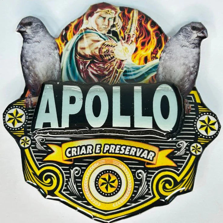 PLACA EM 3D DE PATATIVA PERSONALIZADA COM NOME DO PÁSSARO