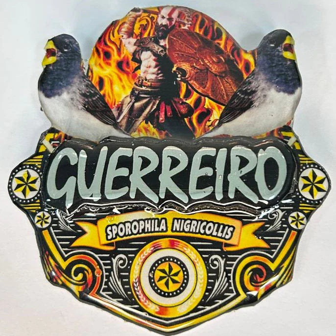 PLACA DE BAIANO P. BRANCO PERSONALIZADA EM 3D COM O NOME DO PÁSSARO