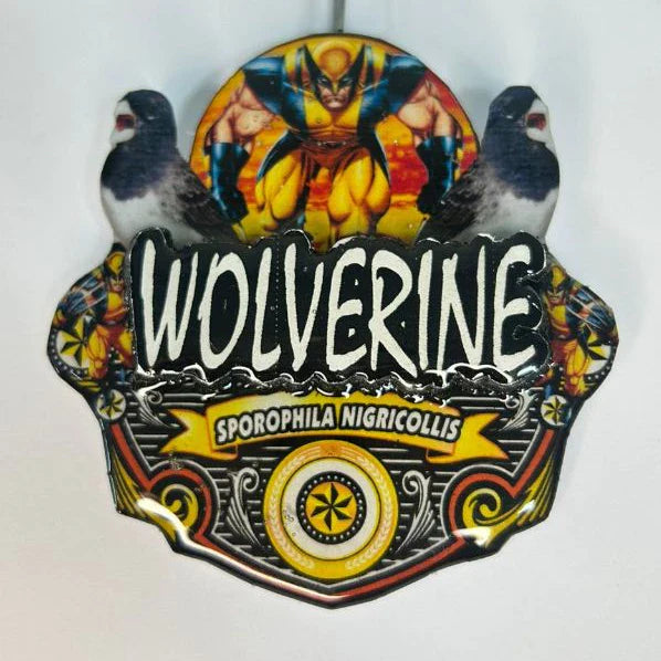 PLACA DE BAIANO P. BRANCO PERSONALIZADA EM 3D COM O NOME DO PÁSSARO