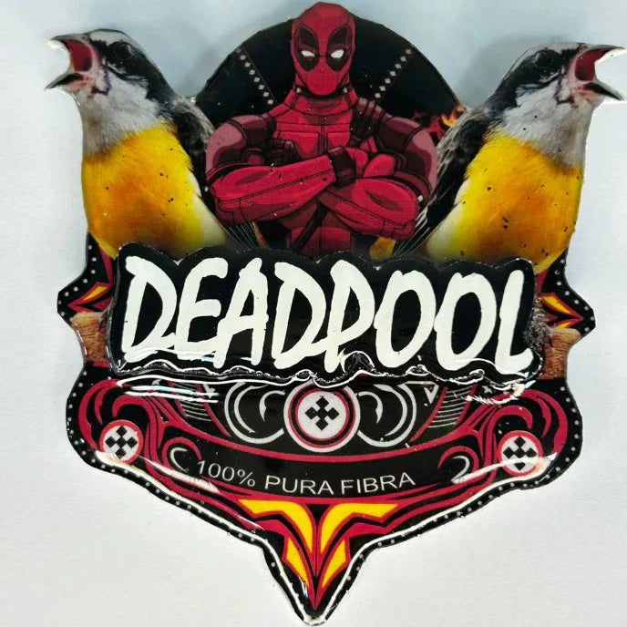 PLACA DE SIBITE PERSONALIZADA EM 3D COM NOME DO PÁSSARO