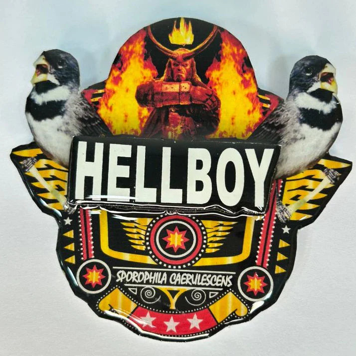 PLACA DE COLEIRO PERSONALIZADA EM 3D COM NOME DO PÁSSARO