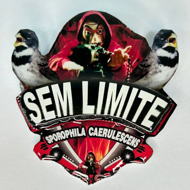 PLACA DE COLEIRO PERSONALIZADA EM 3D COM NOME DO PÁSSARO