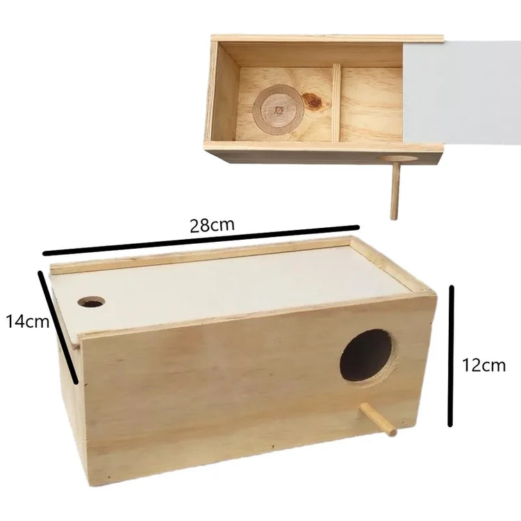 Ninho para Manon, periquito, agapornes e calopsita