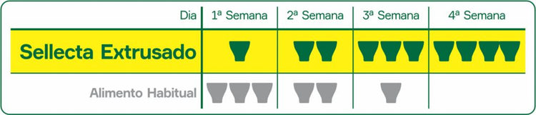 KIT 2 SELLECTA TRINCA FERRO NATURAL COM FRUTAS - 500G CADA