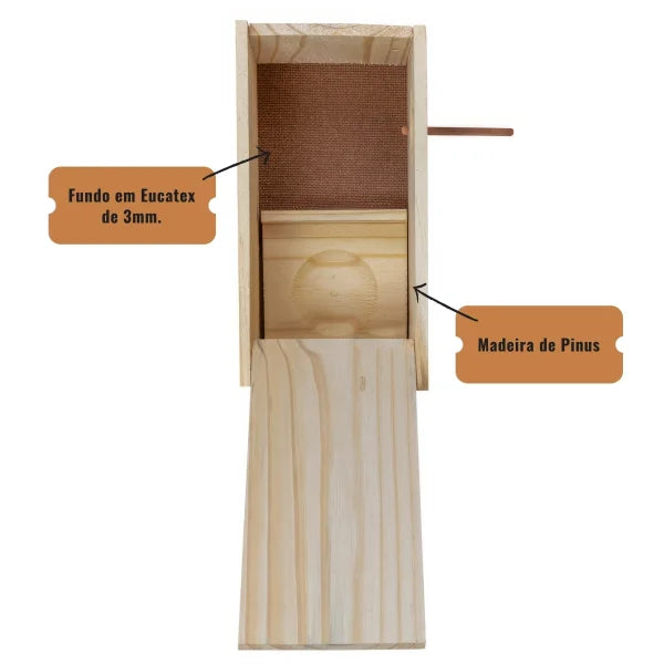 Ninho para Manon, periquito, agapornes e calopsita