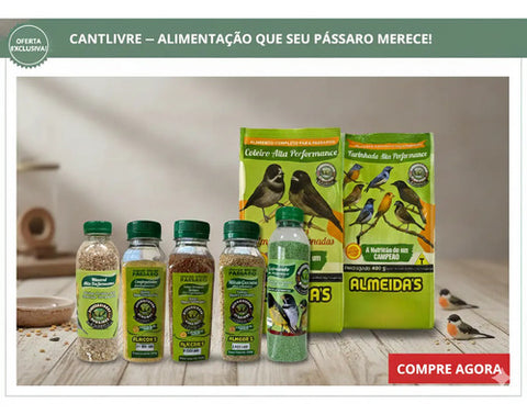Kit Coleiro Alta Performance Completo Energia Canto Torneio