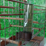 Kit c/ 12 - Bebedouro âmbar 30ml malha fina