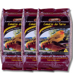 KIT - 3 MISTURA PARA CANÁRIO DA TERRA - 500G CADA
