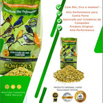 Kit Coleiro Alta Performance Premium  Nutrição De Criador