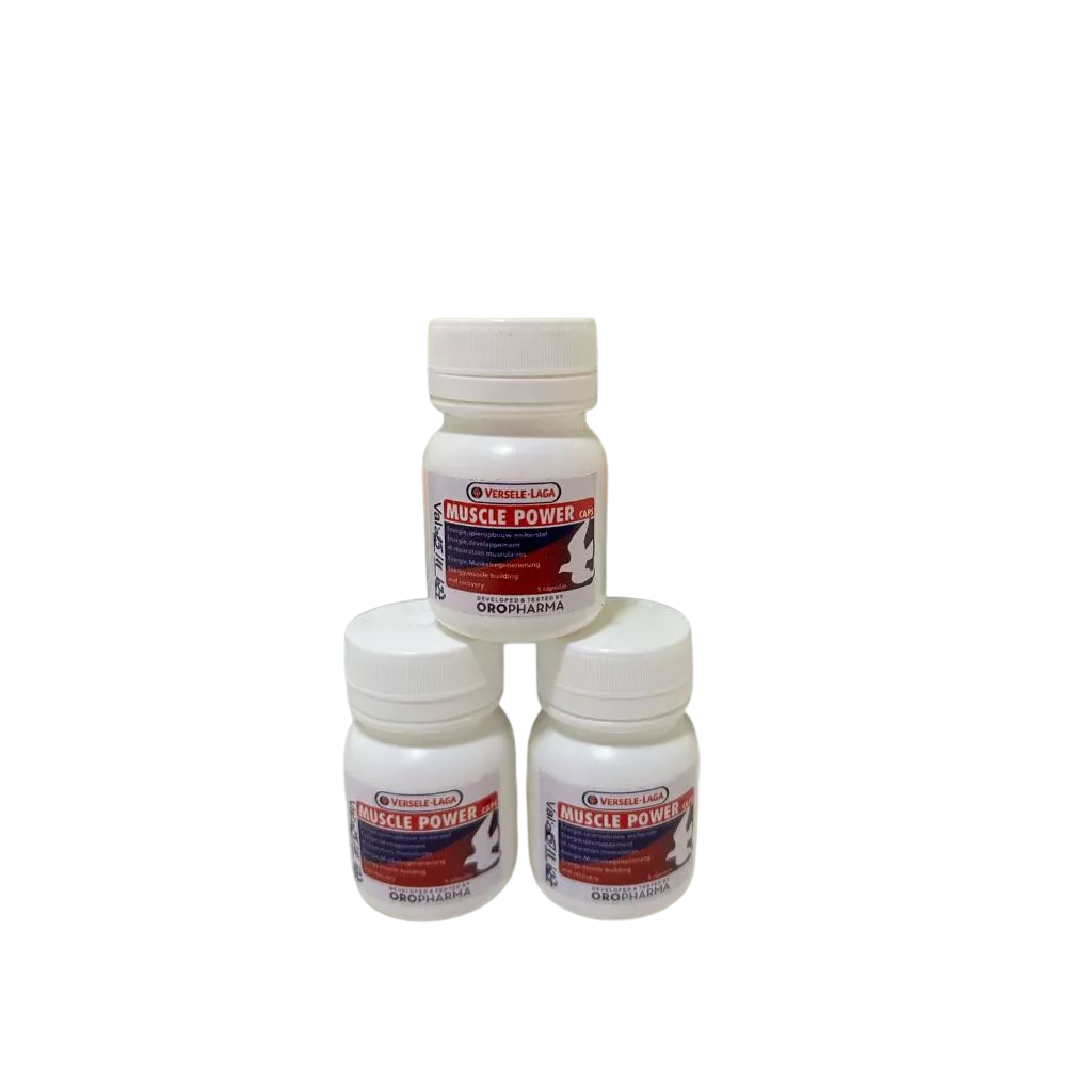 MUSCLE POWER 5 CÁPSULAS - ORIGINAL - FRACIONADO