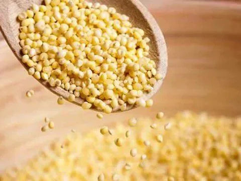 PAINÇO SEM CASCA ALTA PERFORMANCE 250GR