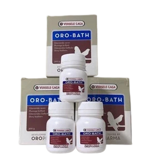 KIT DO  COLEIRO  TAGARELA