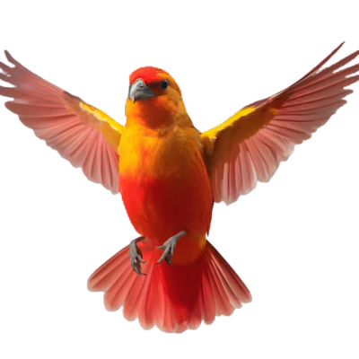 Exóticos & Ornamentais