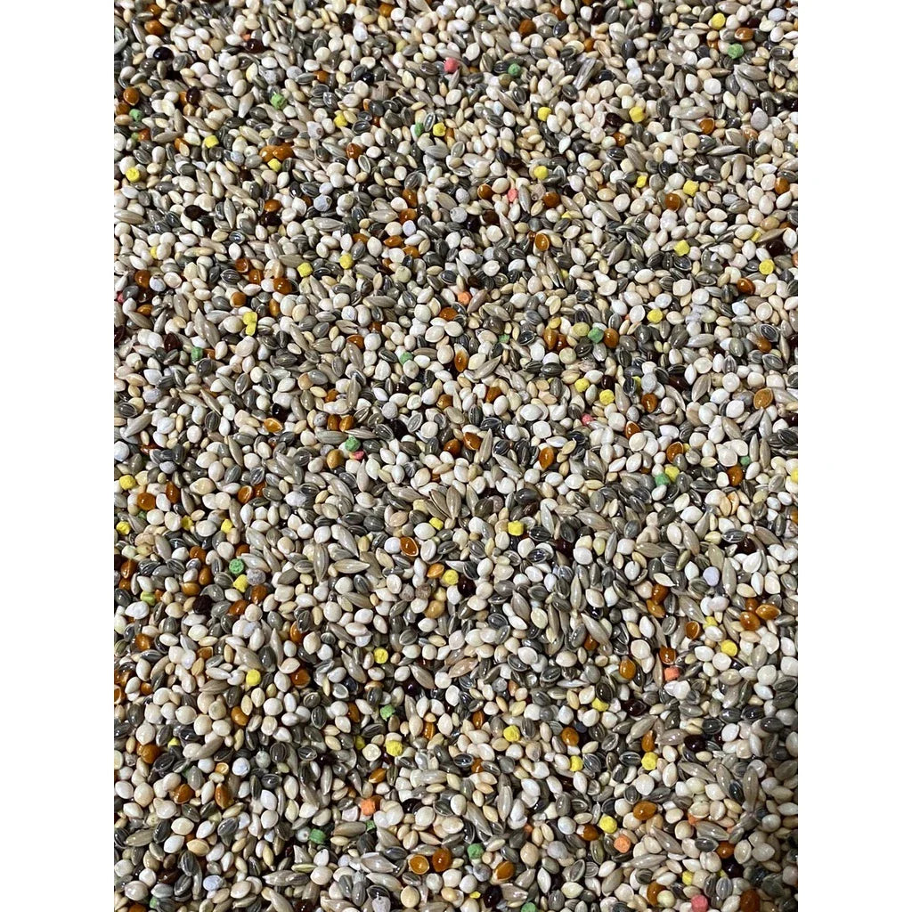 Fardo c/ 10 - Coleiro Alta Performance